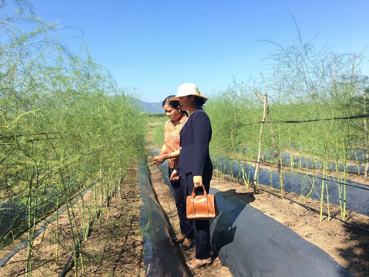 Hiệu quả từ cuộc vận động “Xây dựng gia đình 5 không, 3 sạch” gắn với xây dựng nông thôn mới tại huyện M'Drắk